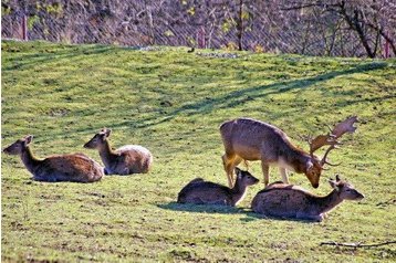 Slovacia Chata Veľké Rovné, Exteriorul